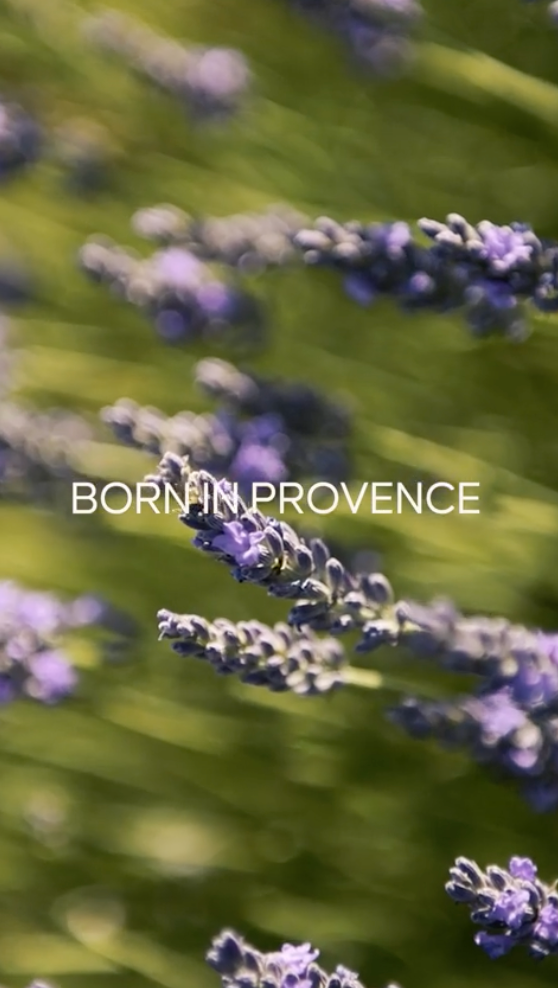 Beau Domaine by Brad Pitt & Famille Perrin